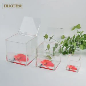 Bejgħ bl-ingrossa Customized Transparent Acrylic Display Box Għall Ħażna